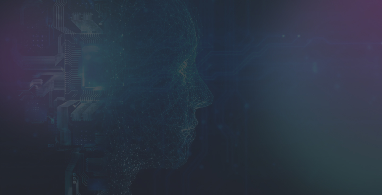 Pitek partner image Pitek partner image